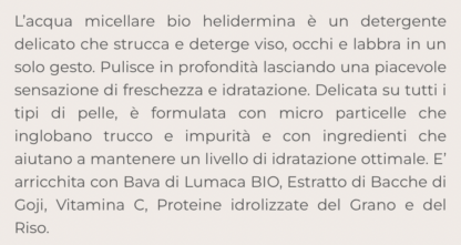 . - immagine 2