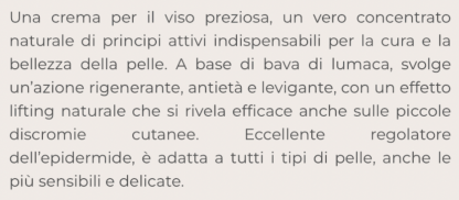 - - immagine 2