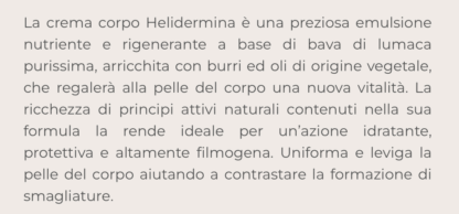 - - immagine 2