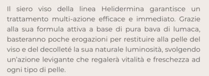 - - immagine 2